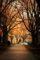 20210113-1st-day-hc26