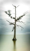 20150806currituck-sound1