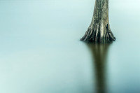 20150806currituck-sound2