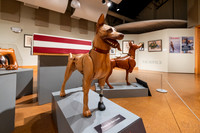 20220130war-dogs-hc-hc31