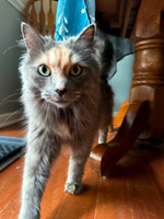 Wiley