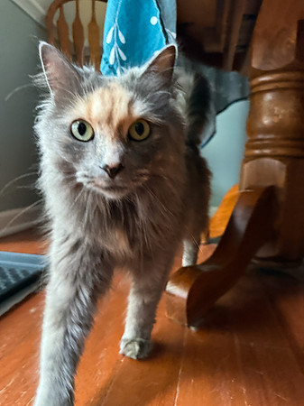 20250610wiley-hc81