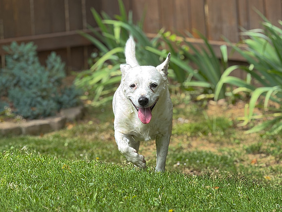 20250610wiley-hc72