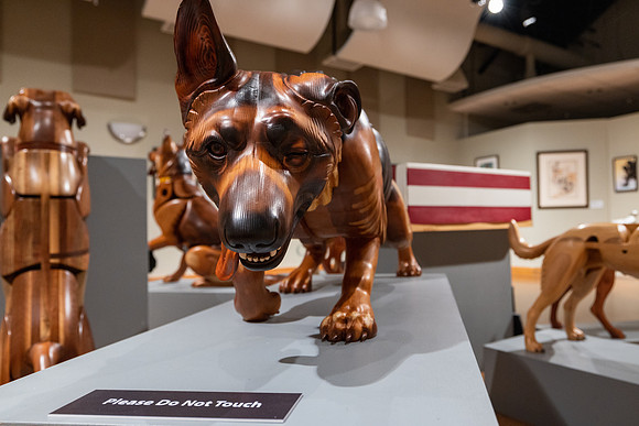 20220130war-dogs-hc-hc29