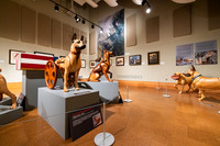 20220130war-dogs-hc-hc43