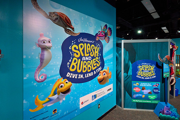 20231008splash-bubbles-hc007