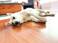 20250610wiley-hc78