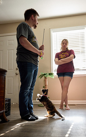 20240225smores-the-cat-hc19