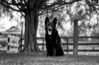 20240116fayne-hc002bw