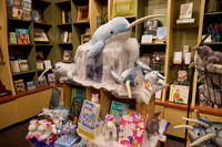 20240228narwhal-hc135