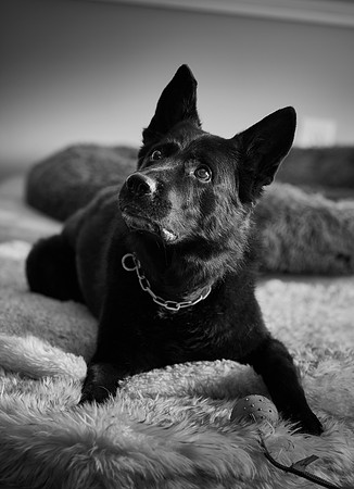 20240117fayne-hc045bw