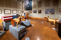 20220130war-dogs-hc-hc41