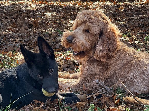 IMG_1144