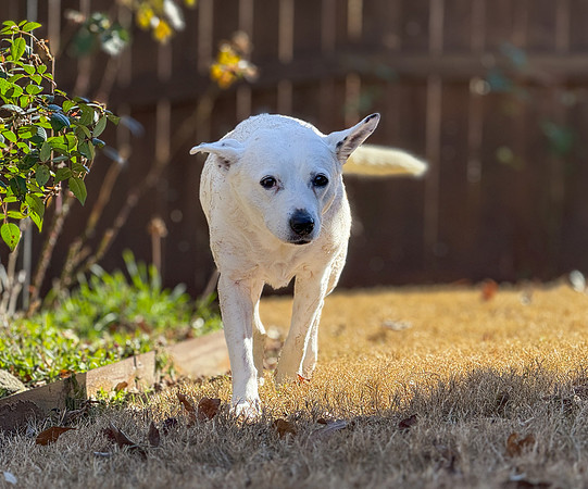 20250117belle-hc297
