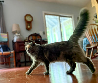 20250610wiley-hc76