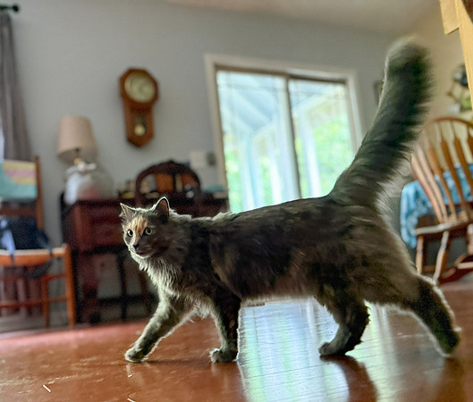 20250610wiley-hc76