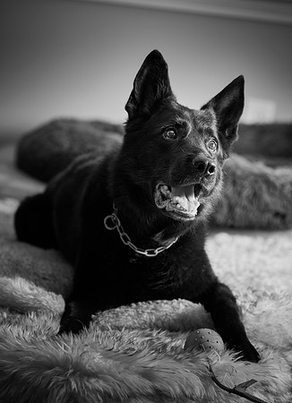 20240117fayne-hc046bw