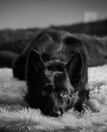 20240116fayne-hc042bw