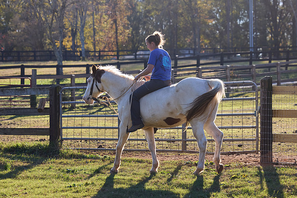 20241125princess-hc0939
