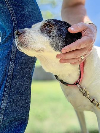 20250419daisy-hc011