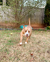 20250319lulu-hc053