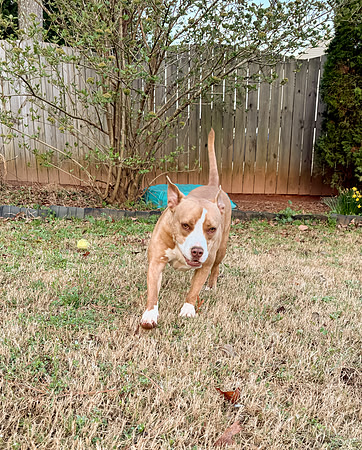 20250319lulu-hc053