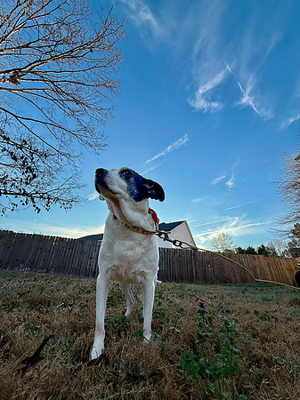 20250319daisy-hc059