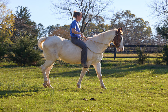 20241125princess-hc0998