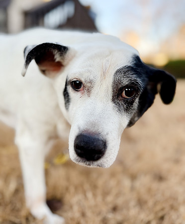 20250319daisy-hc057
