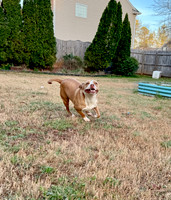 20250319lulu-hc050