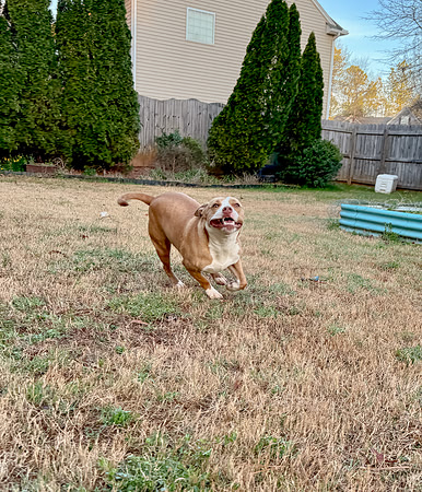 20250319lulu-hc050