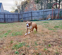 20250319lulu-hc048