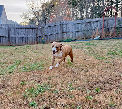 20250319lulu-hc048