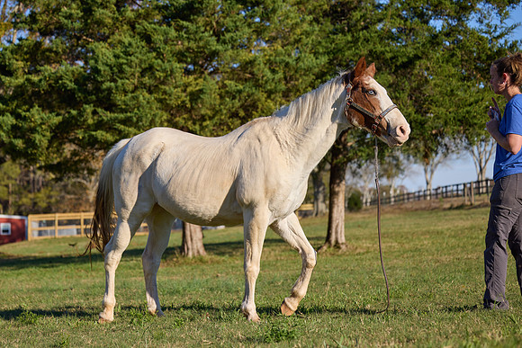 20241125princess-hc0722