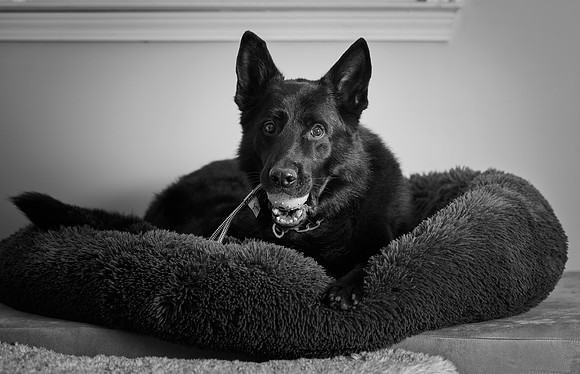 20240116fayne-hc043bw