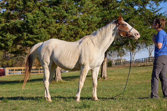 20241125princess-hc0724