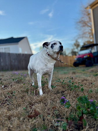 20250319daisy-hc061