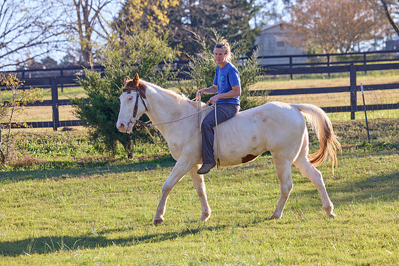 20241125princess-hc0956