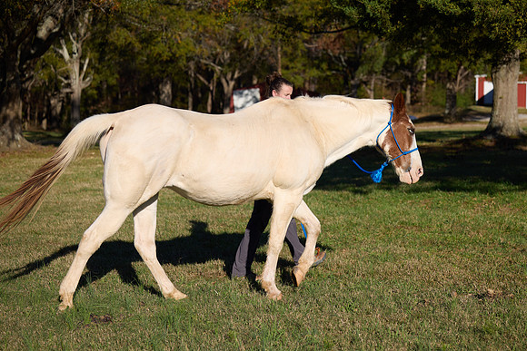 20241125princess-hc0307