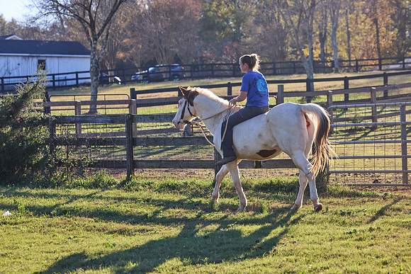 20241125princess-hc0945