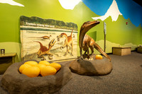 20220613dinosaurs-hc17