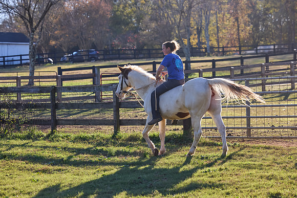 20241125princess-hc0944