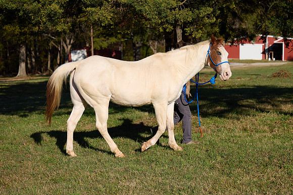 20241125princess-hc0312