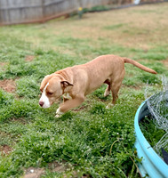 20250319lulu-hc043