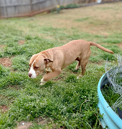20250319lulu-hc043