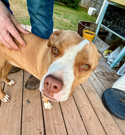20250319lulu-hc047