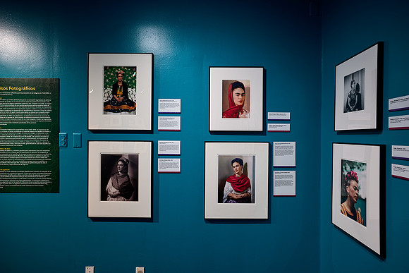 20240708frida-kahlo-hc021