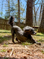 20250321jack-hc084