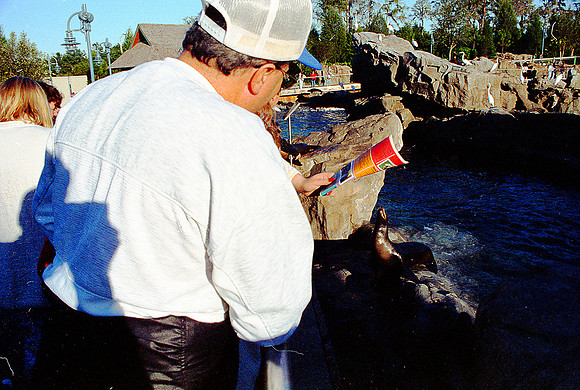 1992torkington0023