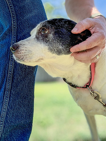 20250419daisy-hc010